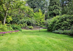 Optimiser l'expérience du jardin à Berg-sur-Moselle